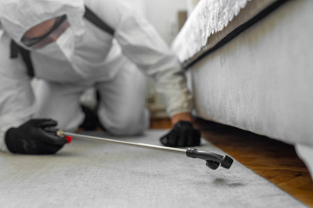 Professional Bed Bug Control technician working in Flomaton, AL